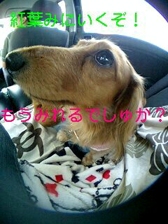 IԂ藷vol.1