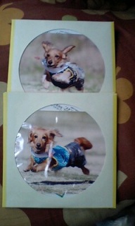 Ӷ޼ދs֍svol.11