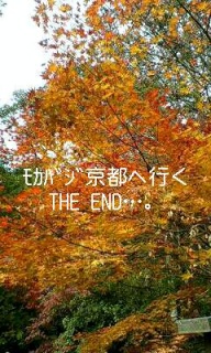 Ӷ޼ދs֍sVOl.17