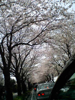 ̃glBBB