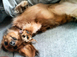 oW̃CioEA`H