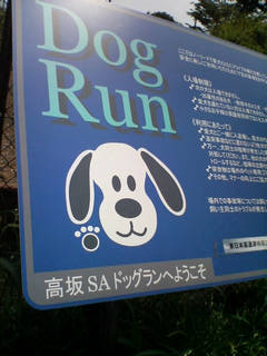 JoWDayo(^-^)o