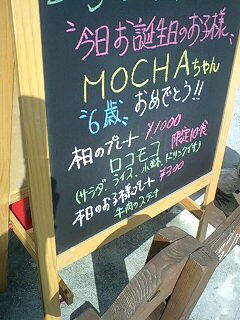 Ӷްި