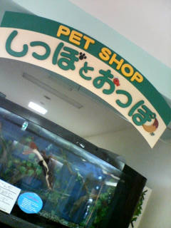 kCwithӶ޼!