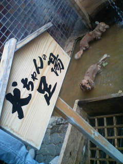 kCwithӶ޼!