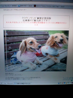 kCwithӶ޼!